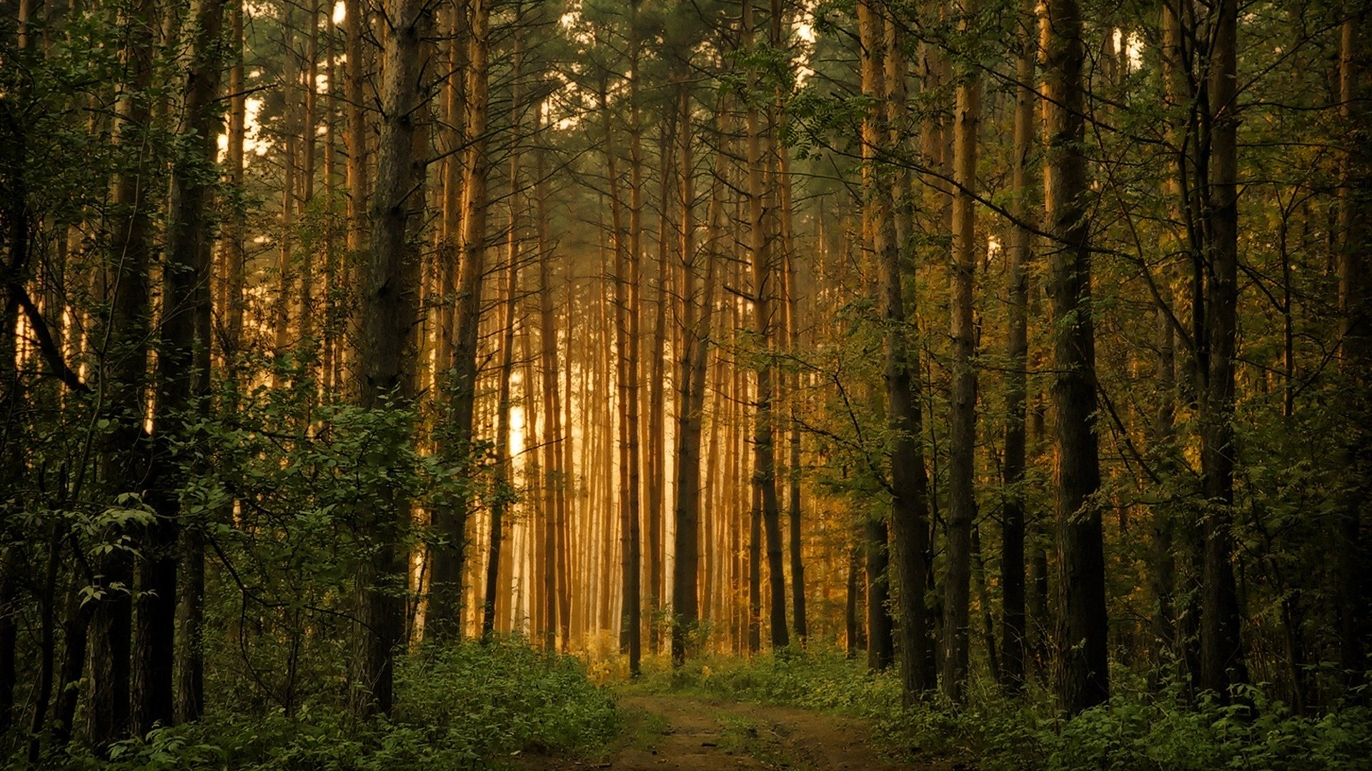 blog-image-3-4