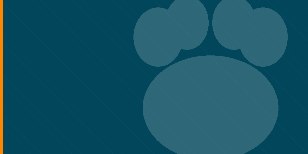 paws-effect-hubspot-blank-v2