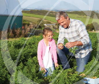 Multigenerational Wealth Management (preparing children for inheritance)